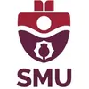 Saint Mary's University